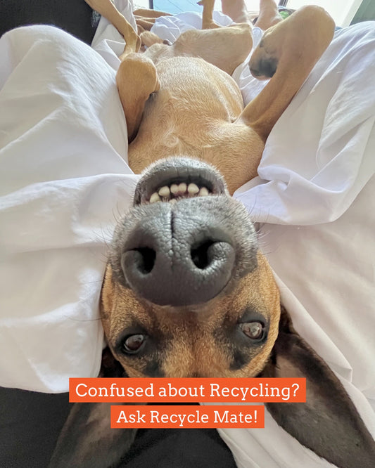 Confused about Recycling? Ask Recycle Mate!